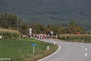 Almabtrieb 2018 Ankommen 058