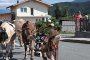 Almabtrieb 2018 Ankommen 066