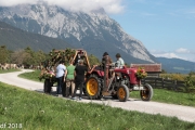 Almabtrieb 2018 Ankommen 084