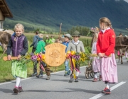 Almabtrieb 2017 Hochfeldern Alm / Mieming – „Ganz nah dran“