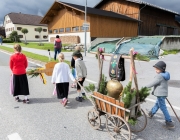 Almabtrieb 2017 Hochfeldern Alm / Mieming – „Ganz nah dran“