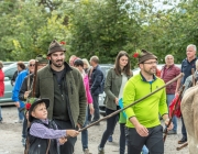 Almabtrieb 2017 Hochfeldern Alm / Mieming – „Ganz nah dran“