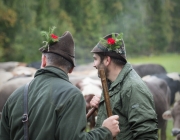 Almabtrieb 2017 Hochfeldern Alm / Mieming – „Ganz nah dran“