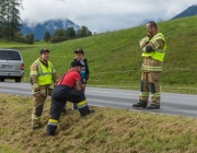 Almabtrieb 2017 Hochfeldern Alm / Mieming – „Ganz nah dran“
