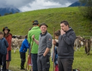 Almabtrieb 2017 Hochfeldern Alm / Mieming – „Ganz nah dran“