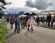 Almabtrieb 2017 Hochfeldern Alm / Mieming – „Ganz nah dran“