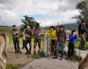 Almabtrieb 2017 Hochfeldern Alm / Mieming – „Ganz nah dran“
