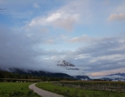 Almabtrieb 2017 Hochfeldern Alm / Mieming – „Ganz nah dran“