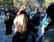 almadvent-stoettlalm-2015 (25 von 93)