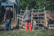 almauftrieb_2020_2048px-13