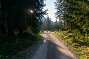 DSC00518-Verbessert-RR