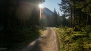 DSC00519-Verbessert-RR