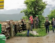 Almauftrieb Obermieming - Feldereralpe 2016