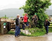 Almauftrieb Obermieming - Feldereralpe 2016