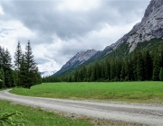 Almauftrieb Obermieming - Feldereralpe 2016