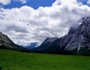Almauftrieb Obermieming - Feldereralpe 2016