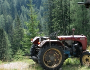 Almmesse auf der Marienberg Alpe – Hirtenfamilie geht nach 40 Jahren in den Ruhestand