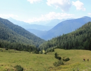 Almmesse auf der Marienberg Alpe – Hirtenfamilie geht nach 40 Jahren in den Ruhestand