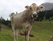 Almmesse auf der Marienberg Alpe – Hirtenfamilie geht nach 40 Jahren in den Ruhestand