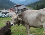 Almmesse auf der Marienberg Alpe – Hirtenfamilie geht nach 40 Jahren in den Ruhestand