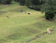Almmesse auf der Marienberg Alpe – Hirtenfamilie geht nach 40 Jahren in den Ruhestand