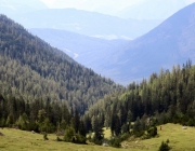 Almmesse auf der Marienberg Alpe – Hirtenfamilie geht nach 40 Jahren in den Ruhestand