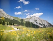 Almsommer 2017 - Bei den Hirten der Hochfeldern Alm