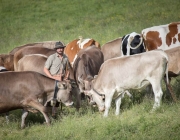 Almsommer 2017 - Bei den Hirten der Hochfeldern Alm