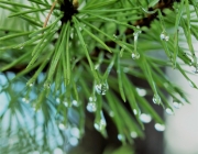 Der nach dem Regen ist eine Offenbarung