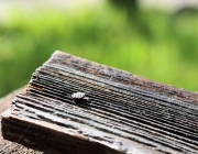 Der nach dem Regen ist eine Offenbarung