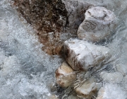 Der nach dem Regen ist eine Offenbarung Der nach dem Regen ist eine Offenbarung