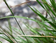 Der nach dem Regen ist eine Offenbarung