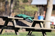 Am Badesee haben die Bagger ihre Arbeit aufgenommen – Künftige Kleinkinderbucht nimmt Gestalt an