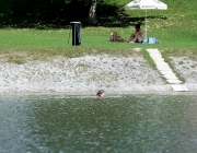 Die Badesee-Saison 2016 ist beendet