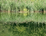 Die Badesee-Saison 2016 ist beendet