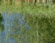 Die Badesee-Saison 2016 ist beendet