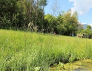 badesee_mieming_saisonbeginn_053