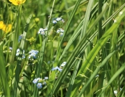 badesee_mieming_saisonbeginn_056