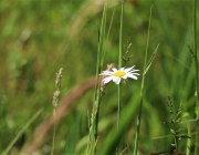 badesee_mieming_saisonbeginn_059