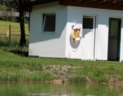 badesee_mieming_saisonbeginn_066