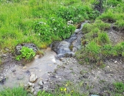 Bauarbeiten Marienberg Alm Juni 2017