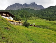 Bauarbeiten Marienberg Alm Juni 2017