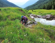 Bauarbeiten Marienberg Alm Juni 2017