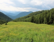 Bauarbeiten Marienberg Alm Juni 2017