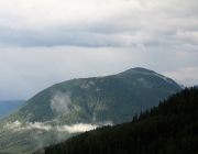 Bauarbeiten Marienberg Alm Juni 2017