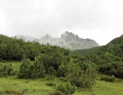 Bauarbeiten Marienberg Alm Juni 2017