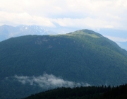 Bauarbeiten Marienberg Alm Juni 2017