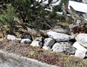 Ortstermin Seeben Alm – Gebaut werden Steinschlagschutz und Gastankanlage