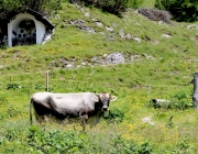 Baggerarbeiten am Marienbergjochweg