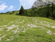 Baggerarbeiten am Marienbergjochweg
